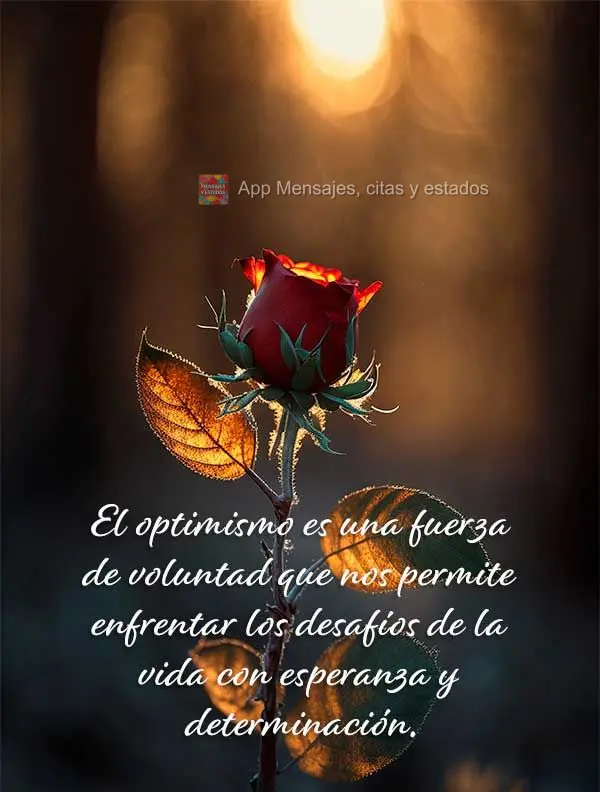 El optimismo es una fuerza de voluntad que nos permite enfrentar los desafíos de la vida con esperanza y determinación.
