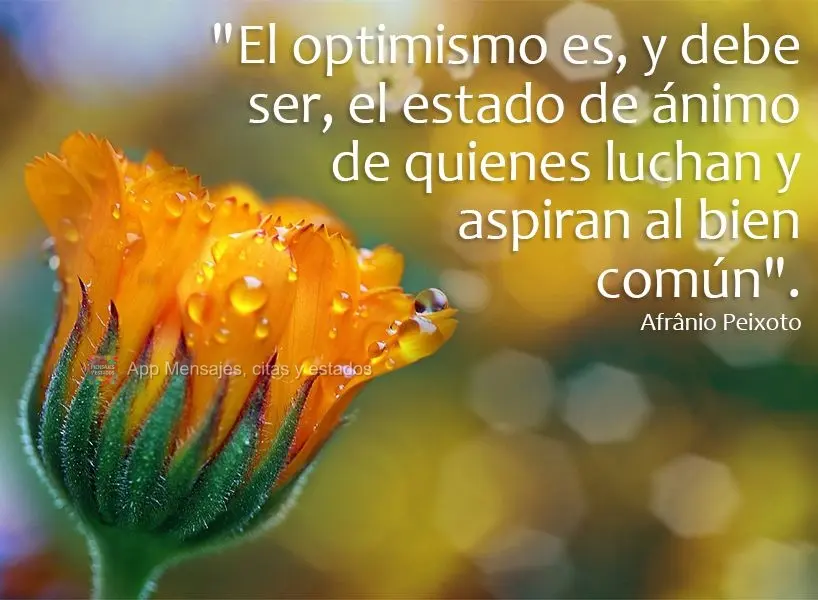 "El optimismo es, y debe ser, el estado de ánimo de quienes luchan y aspiran al bien común". Afrânio Peixoto