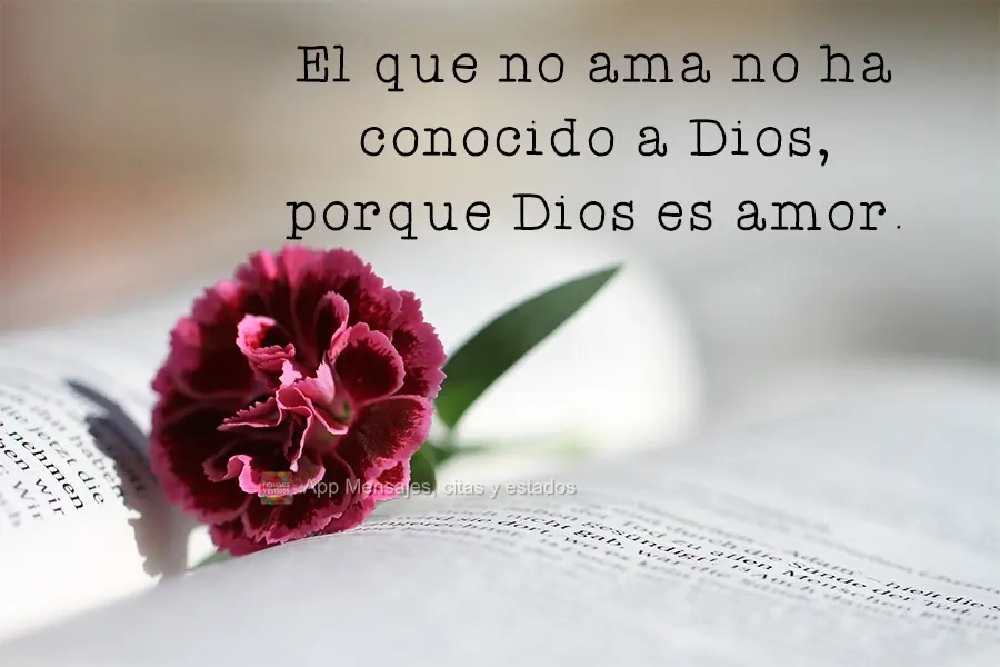 El que no ama no ha conocido a Dios, porque Dios es amor.