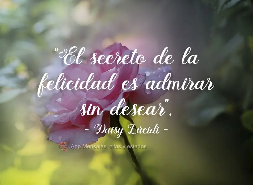 "El secreto de la felicidad es admirar sin desear". Daisy Lúcidi