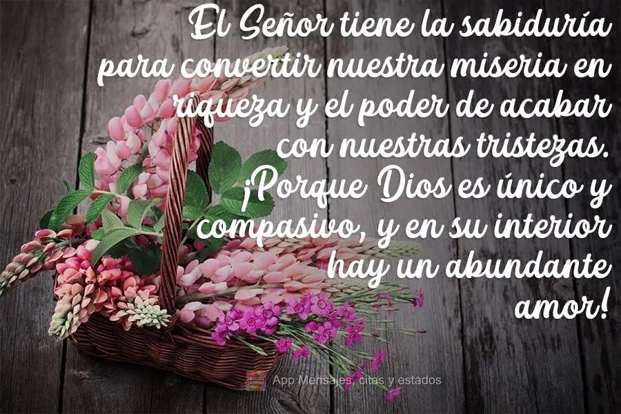 El Señor tiene la sabiduría para convertir nuestra miseria en riqueza y el poder de acabar con nuestras tristezas. ¡Porque Dios es único y compasivo,...