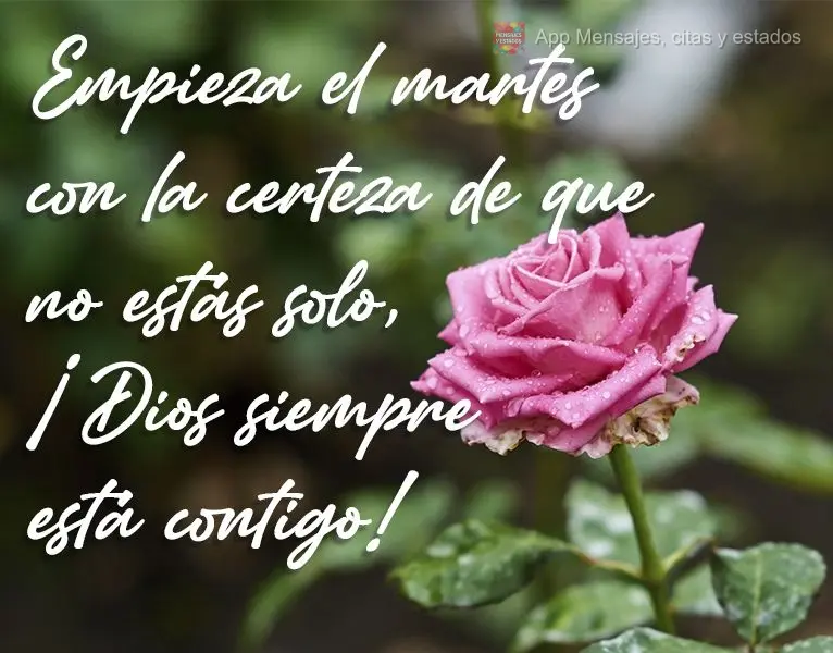 Empieza el martes con la certeza de que no estás solo, ¡Dios siempre está contigo!
