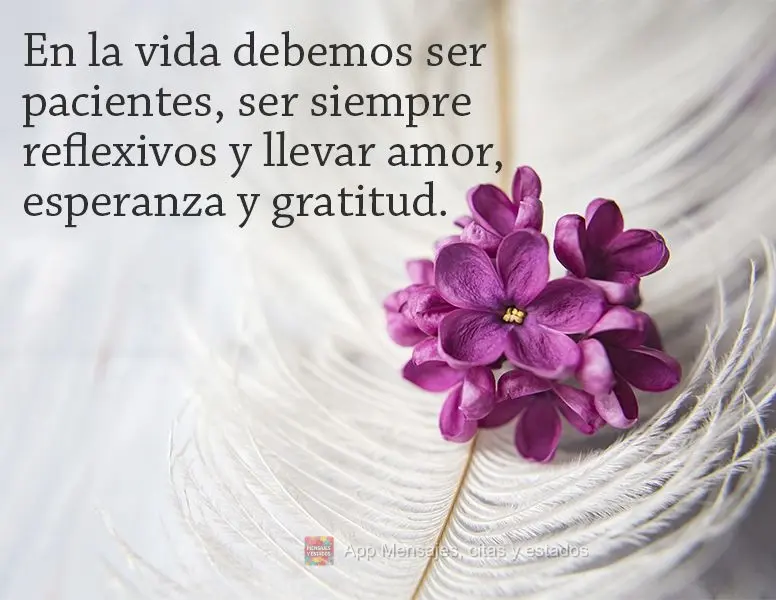 En la vida debemos ser pacientes, ser siempre reflexivos y llevar amor, esperanza y gratitud.