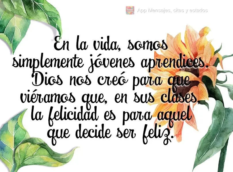 En la vida, somos simplemente jóvenes aprendices. Dios nos creó para que viéramos que, en sus clases, la felicidad es para aquel que decide ser feliz....