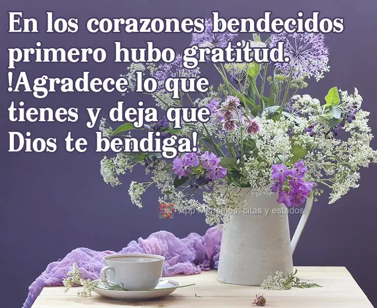 En los corazones bendecidos primero hubo gratitud. ¡Agradece lo que tienes y deja que Dios te bendiga!
