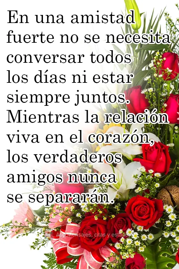 En una amistad fuerte no se necesita conversar todos los días ni estar siempre juntos. Mientras la relación viva en el corazón, los verdaderos amigos ...