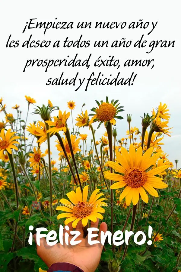 ¡Empieza un nuevo año y les deseo a todos un año de gran prosperidad, éxito, amor, salud y felicidad! ¡Feliz enero!