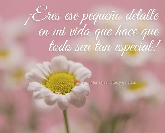 ¡Eres ese pequeño detalle en mi vida que hace que todo sea tan especial!