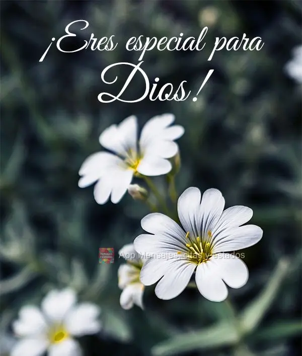 ¡Eres especial para Dios!