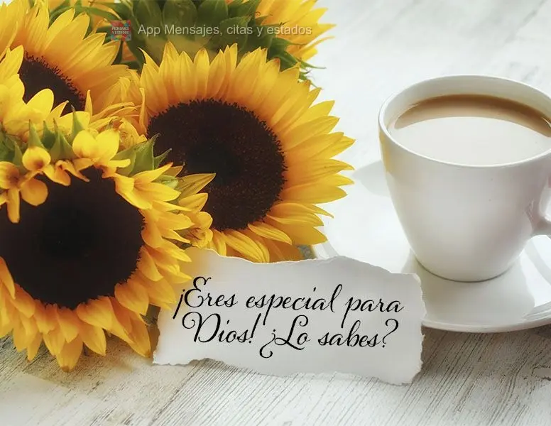 ¡Eres especial para Dios! ¿Lo sabes?