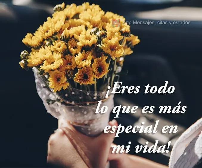 ¡Eres todo lo que es más especial en mi vida!