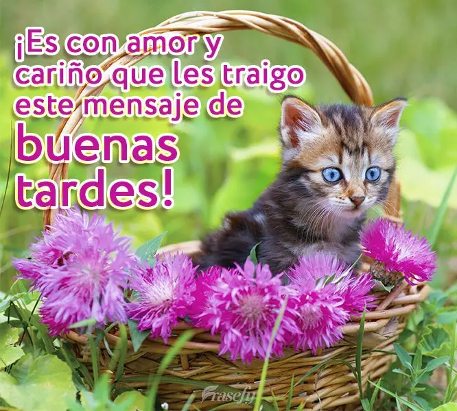 ¡Es con amor y cariño que les traigo este mensaje de buenas tardes!