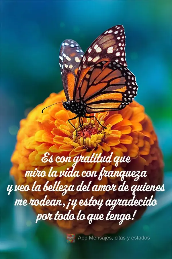 Es con gratitud que miro la vida con franqueza y veo la belleza del amor de quienes me rodean, ¡y estoy agradecido por todo lo que tengo!