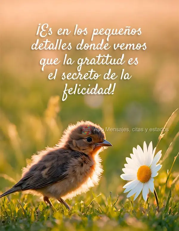 ¡Es en los pequeños detalles donde vemos que la gratitud es el secreto de la felicidad!