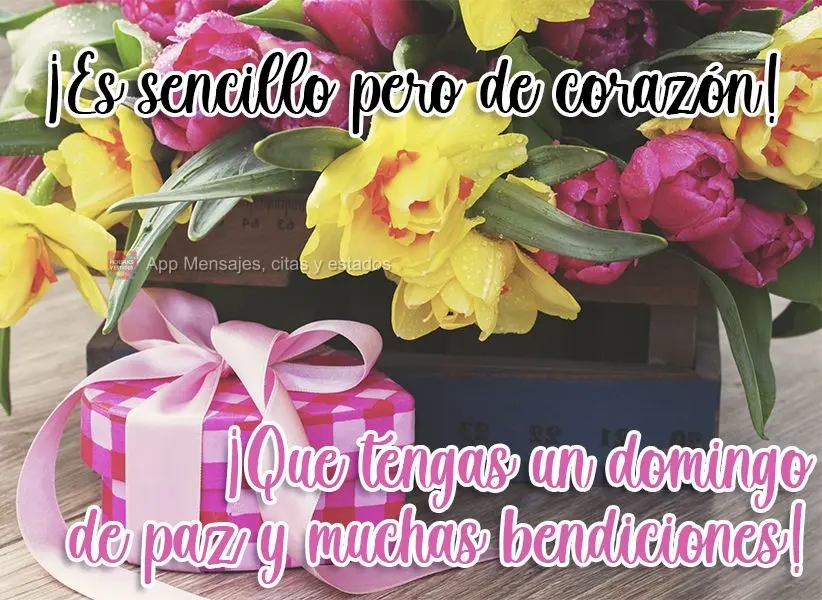 ¡Es sencillo pero de corazón! ¡Que tengas un domingo de paz y muchas bendiciones!