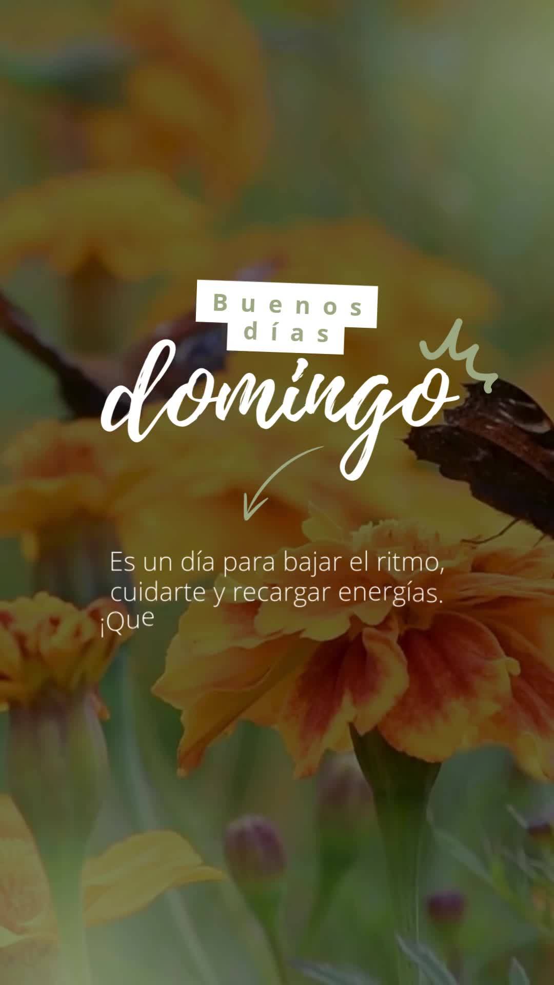 Es un día para bajar el ritmo, cuidarte y recargar energías. ¡Que tu domingo esté lleno de paz, amor y buenas vibras! Buenos días domingo