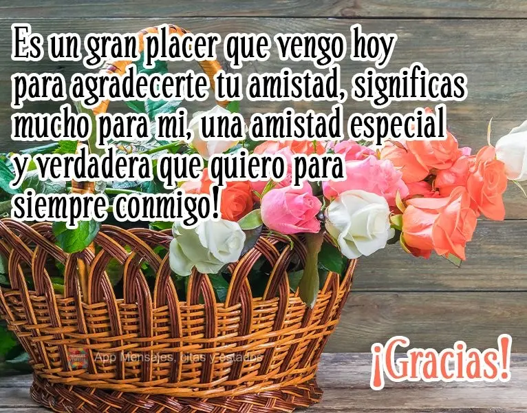 Es un gran placer que vengo hoy para agradecerte tu amistad, significas mucho para mi, una amistad especial y verdadera que quiero para siempre conmigo! ...