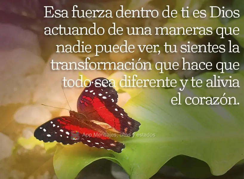 Esa fuerza dentro de ti es Dios actuando de una maneras que nadie puede ver, tu sientes la transformación que hace que todo sea diferente y te alivia el...