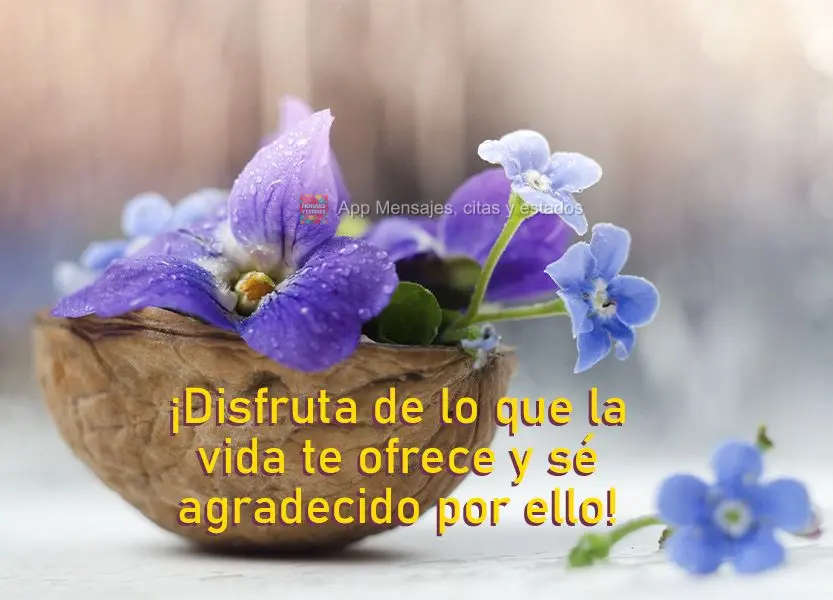 ¡Disfruta de lo que la vida te ofrece y sé agradecido por ello!