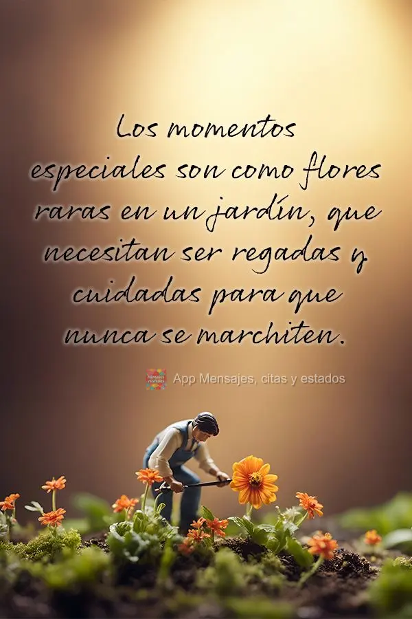 Los momentos especiales son como flores raras en un jardín, que necesitan ser regadas y cuidadas para que nunca se marchiten.