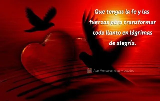 Que tengas la fe y las fuerzas para transformar todo llanto en lágrimas de alegría.