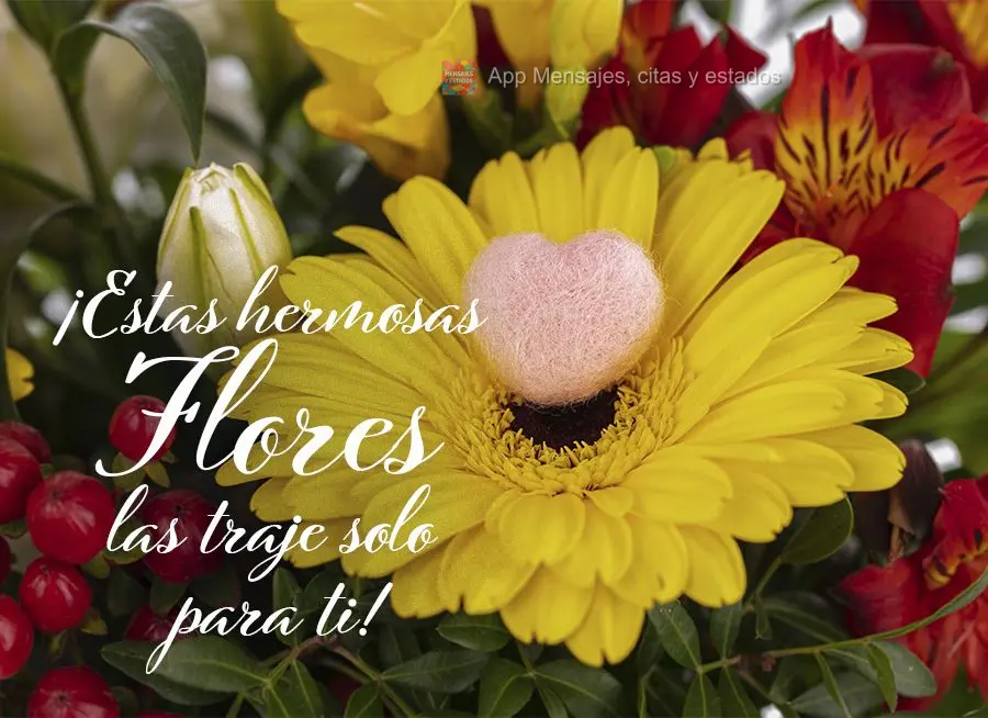 ¡Estas hermosas flores las traje solo para ti!