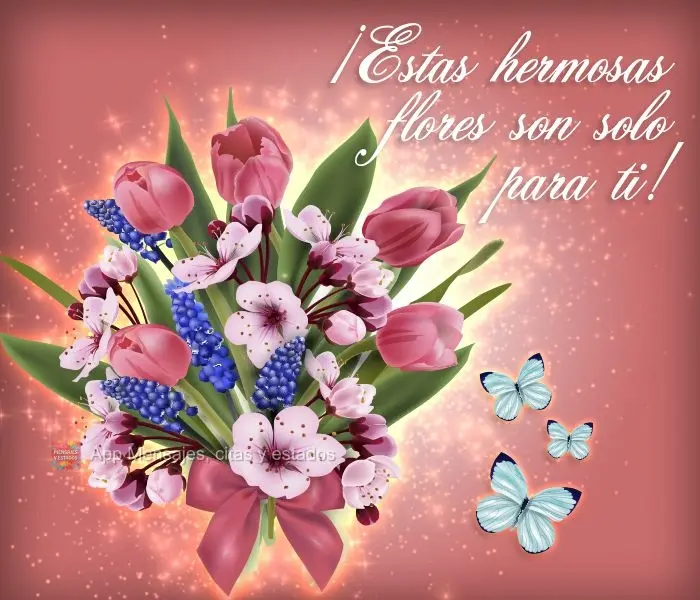 ¡Estas hermosas flores son solo para ti!