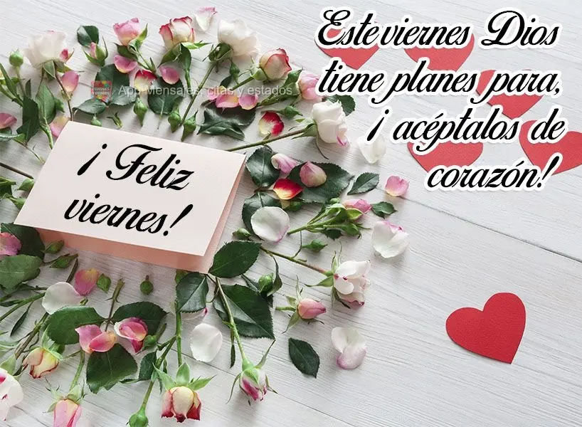 Este viernes Dios tiene planes para ti, ¡acéptalos de corazón! ¡Feliz viernes!