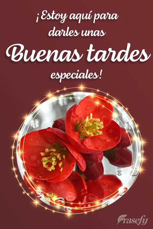 ¡Estoy aquí para darles unas buenas tardes especiales!