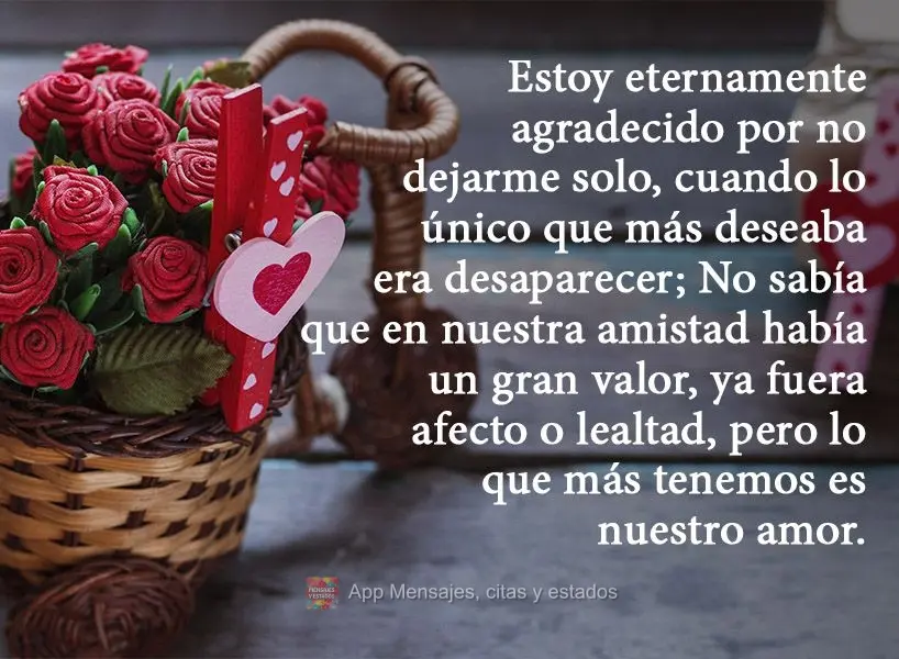 Estoy eternamente agradecido por no dejarme solo, cuando lo único que más deseaba era desaparecer; No sabía que en nuestra amistad había un gran valo...