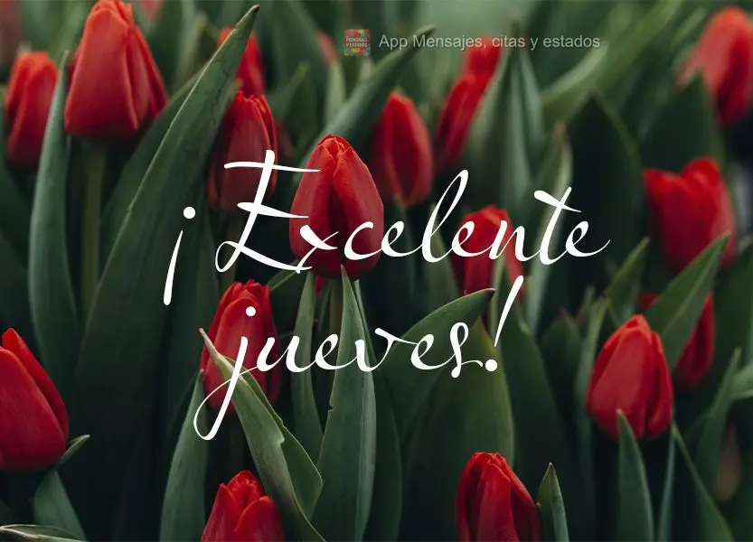 ¡Excelente jueves!