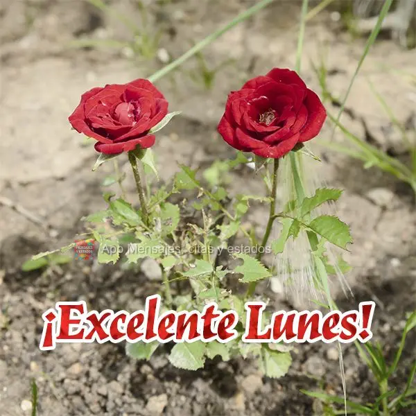 ¡Excelente lunes! 