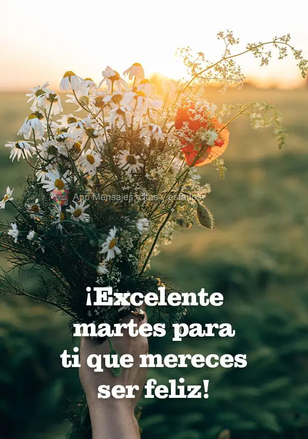 ¡Excelente martes para ti que mereces ser feliz!