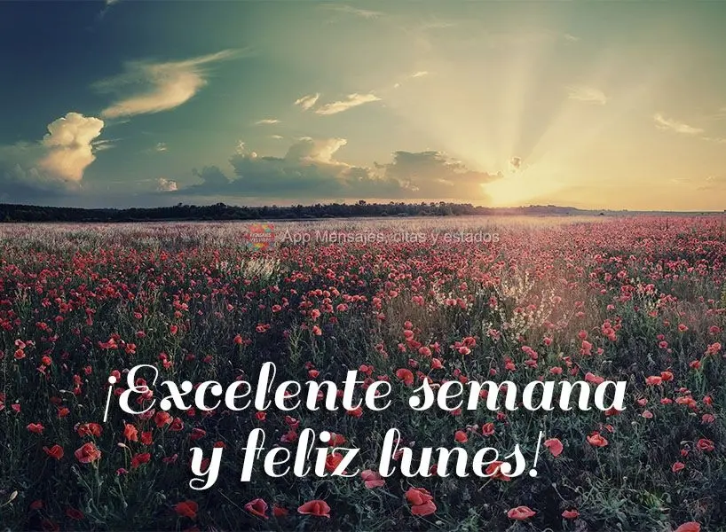 ¡Excelente semana y feliz lunes!