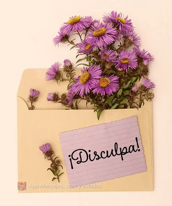 ¡Disculpa!