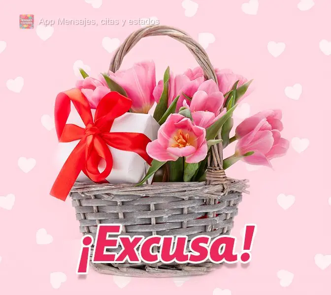 ¡Lo siento!