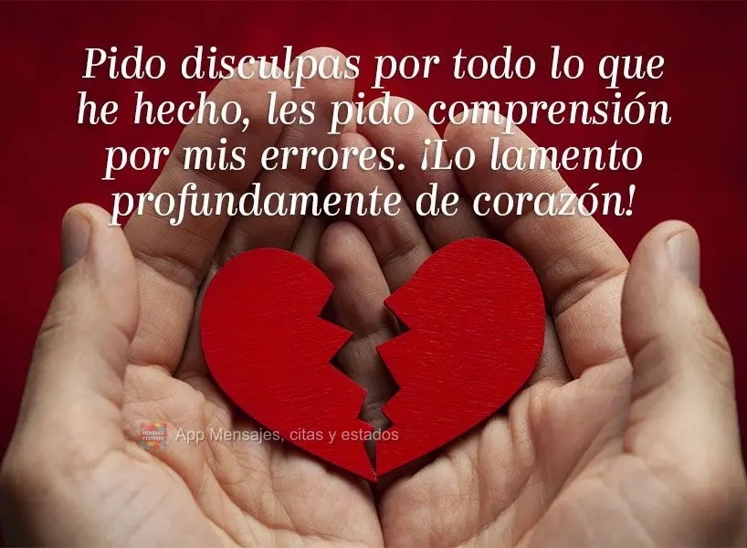 Pido disculpas por todo lo que he hecho, les pido comprensión por mis errores. ¡Lo lamento profundamente de corazón!