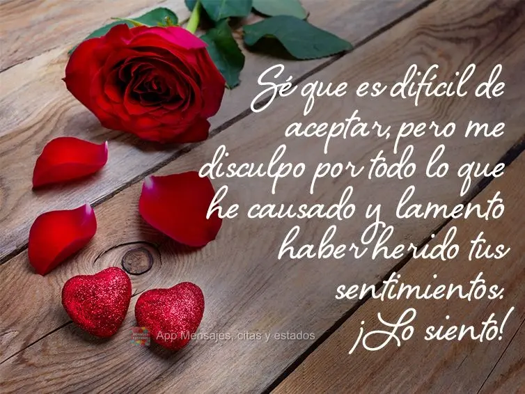 Sé que es difícil de aceptar, pero me disculpo por todo lo que he causado y lamento haber herido tus sentimientos. ¡Lo siento!