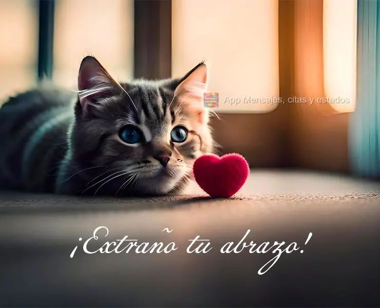 ¡Extraño tu abrazo!