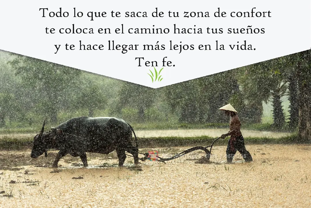 Todo lo que te saca de tu zona de confort te coloca en el camino hacia tus sueños y te hace llegar más lejos en la vida.  Ten fe.
