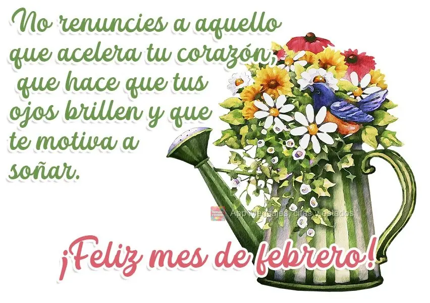 No renuncies a aquello que acelera tu corazón, que hace que tus ojos brillen y que te motiva a soñar. ¡Feliz mes de febrero!