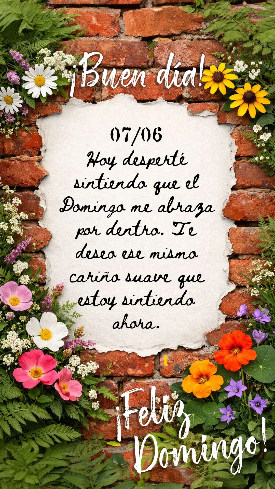 Buen día. Hoy desperté sintiendo que el domingo me abraza por dentro. Te deseo ese mismo cariño suave que estoy sintiendo ahora.