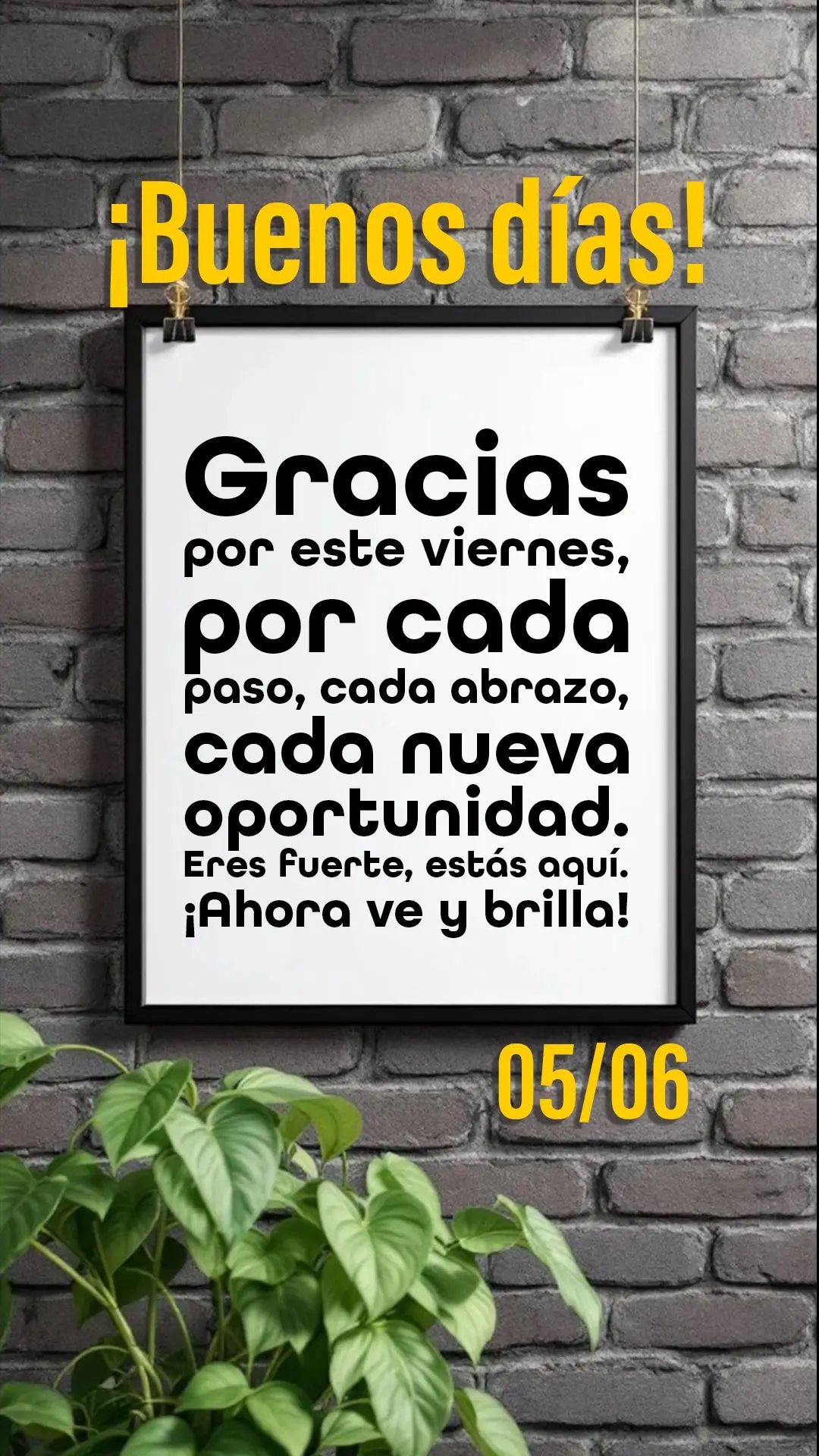 ¡Buenos días! Gracias por este viernes, por cada paso, cada abrazo, cada nueva oportunidad. Eres fuerte, estás aquí. ¡Ahora ve y brilla!