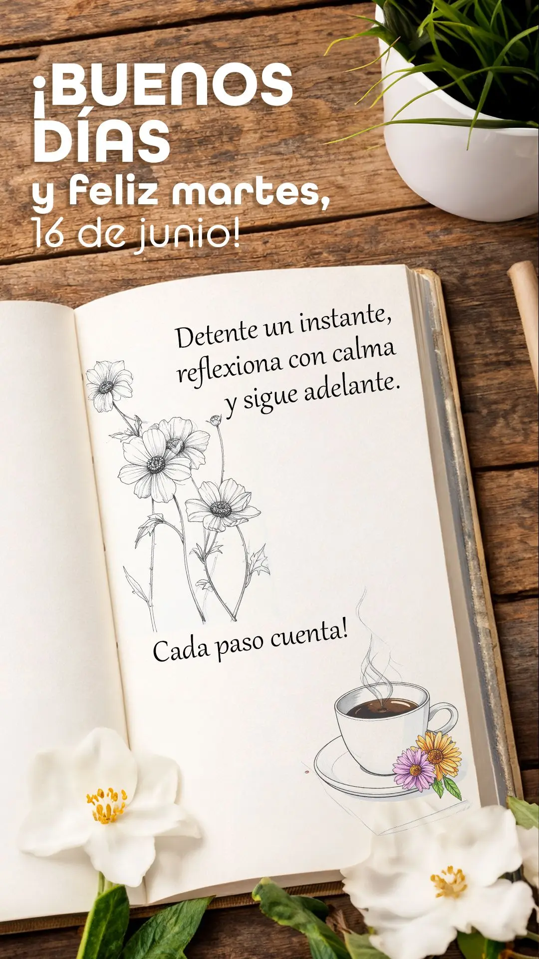 ¡Buenos días y feliz martes, 16 de junio! Detente un instante, reflexiona con calma y sigue adelante. Cada paso cuenta.