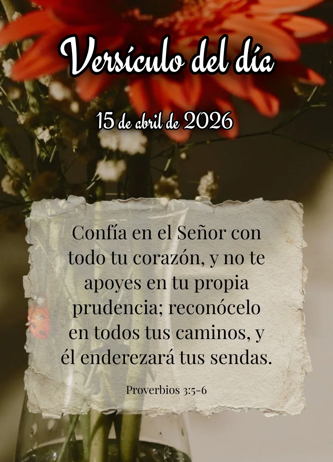 Confía en el Señor con todo tu corazón, y no te apoyes en tu propia prudencia; reconócelo en todos tus caminos, y él enderezará tus sendas. Versíc...