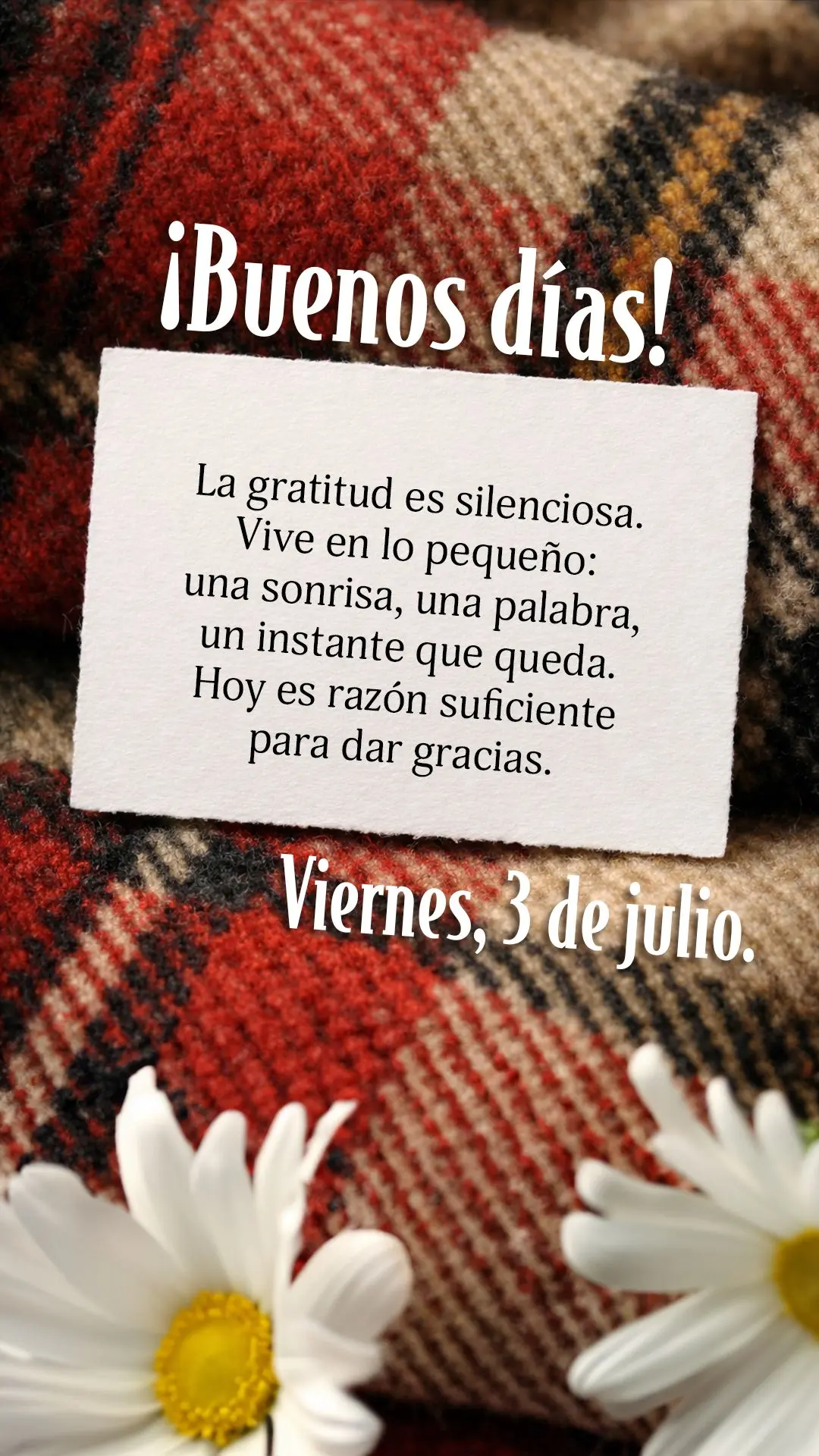 La gratitud es silenciosa. Vive en lo pequeño: una sonrisa, una palabra, un instante que queda. Hoy es razón suficiente para dar gracias.