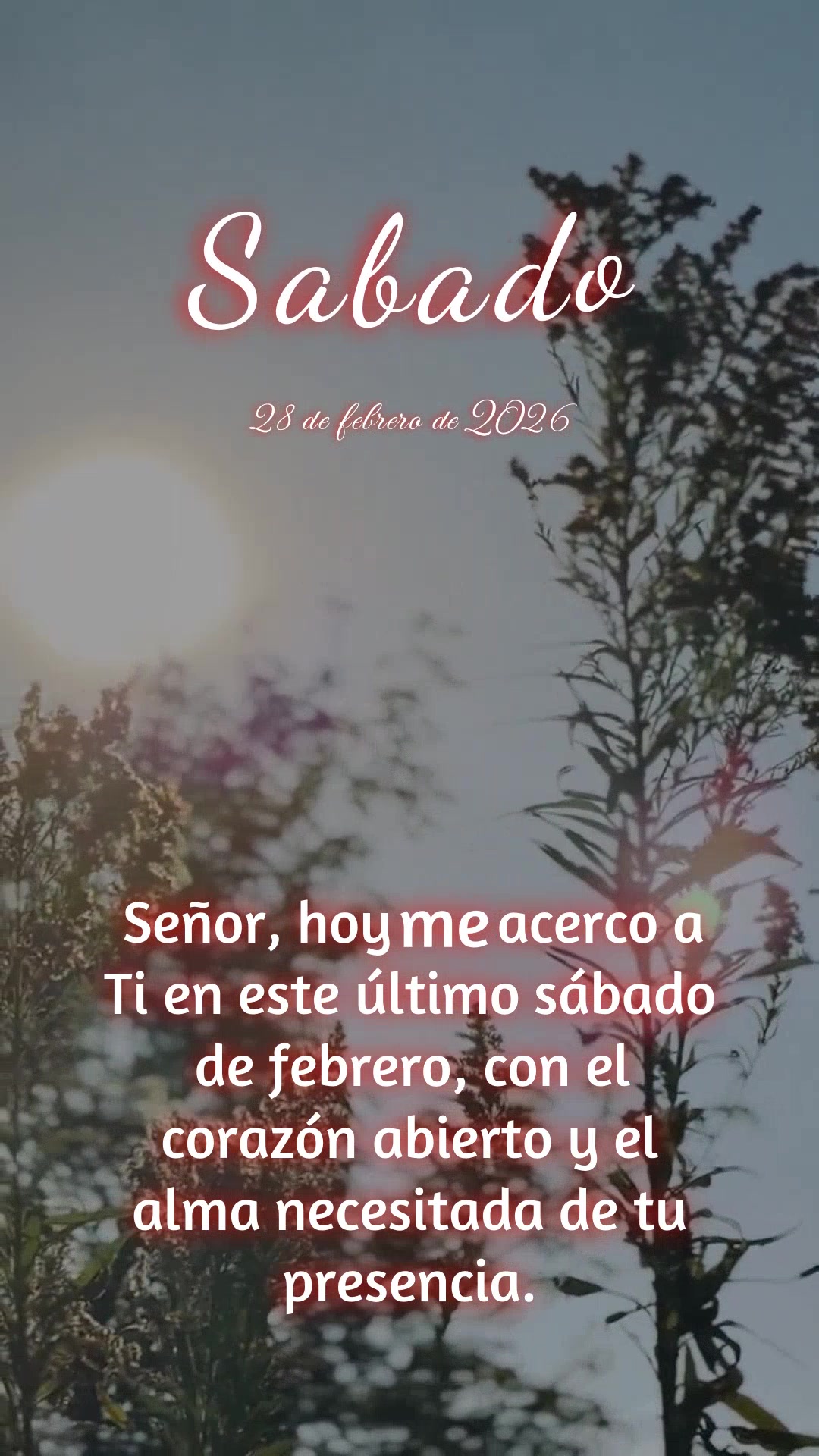 Señor, hoy me acerco a ti en este último sábado de febrero, con el corazón abierto y el alma necesitada de tu presencia. Ha sido un mes largo, Señor...