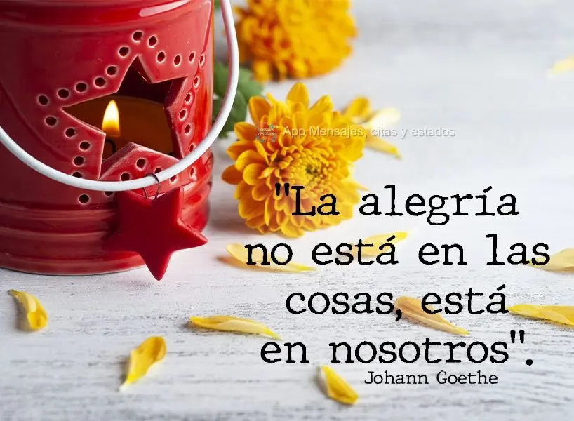 "La alegría no está en las cosas, está en nosotros". Johann Goethe