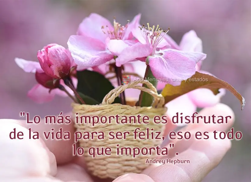"Lo más importante es disfrutar de la vida para ser feliz, eso es todo lo que importa". Andrey Hepburn
