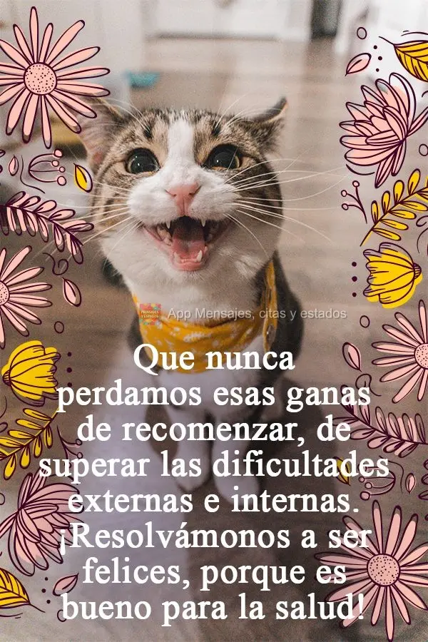 Que nunca perdamos esas ganas de recomenzar, de superar las dificultades externas e internas. ¡Resolvámonos a ser felices, porque es bueno para la salu...